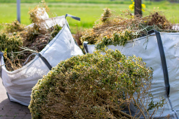 Best Residential Junk Removal  in Hurlock, MD